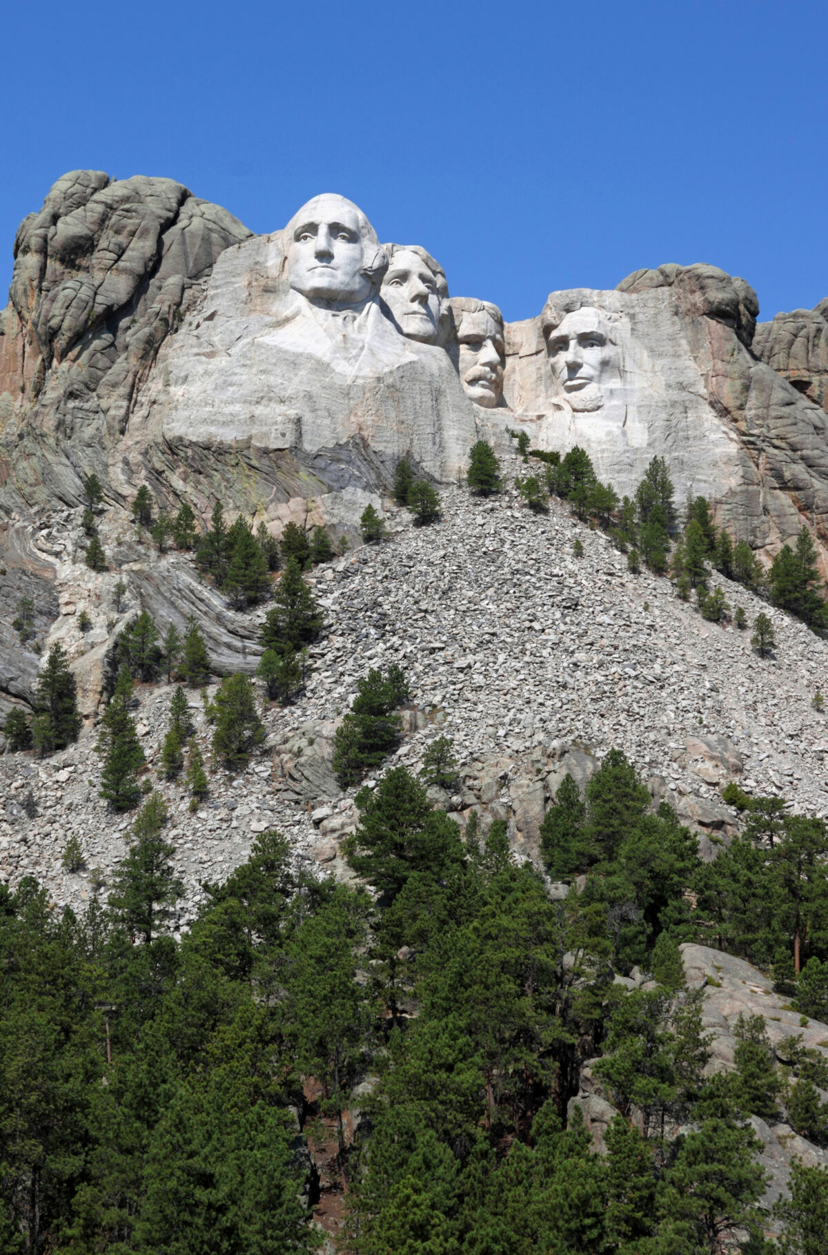 National History Bee