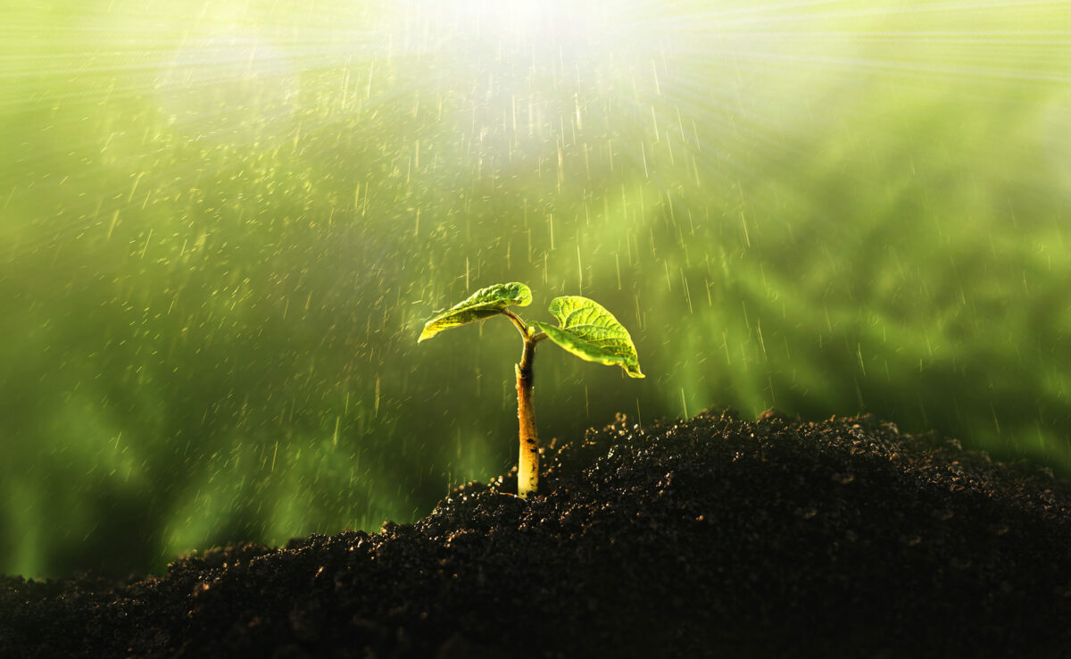 National Biology Bee